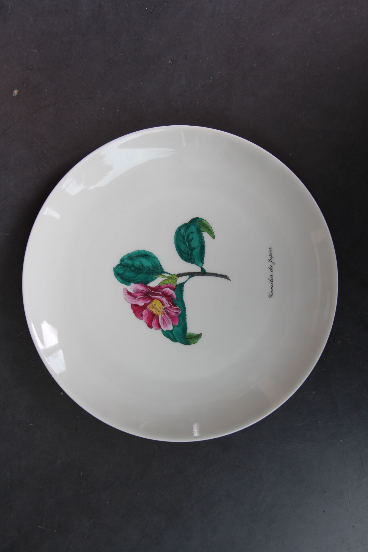 6 NBD Limoges dessert plates illuminated by hand