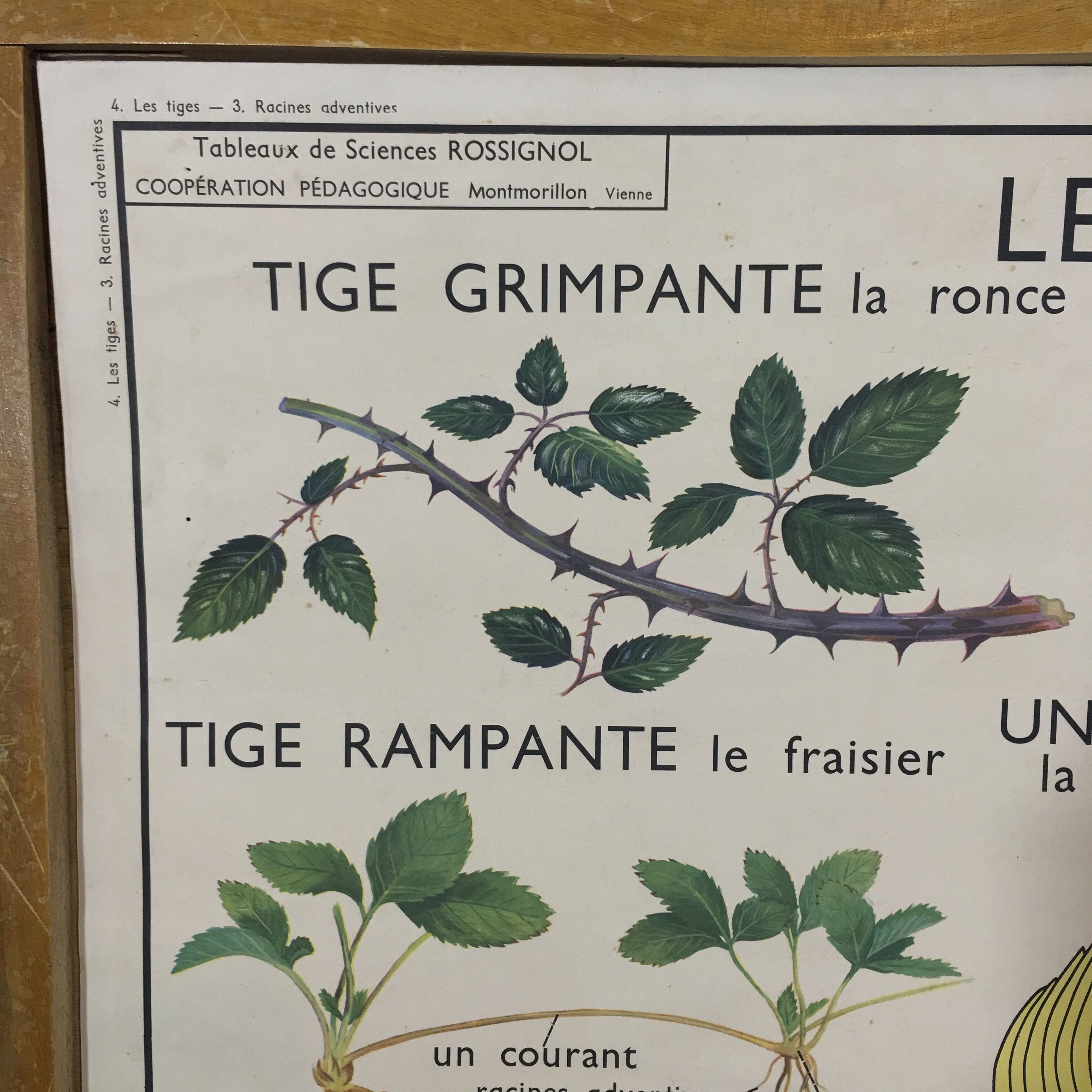 School poster by Rossignol double side