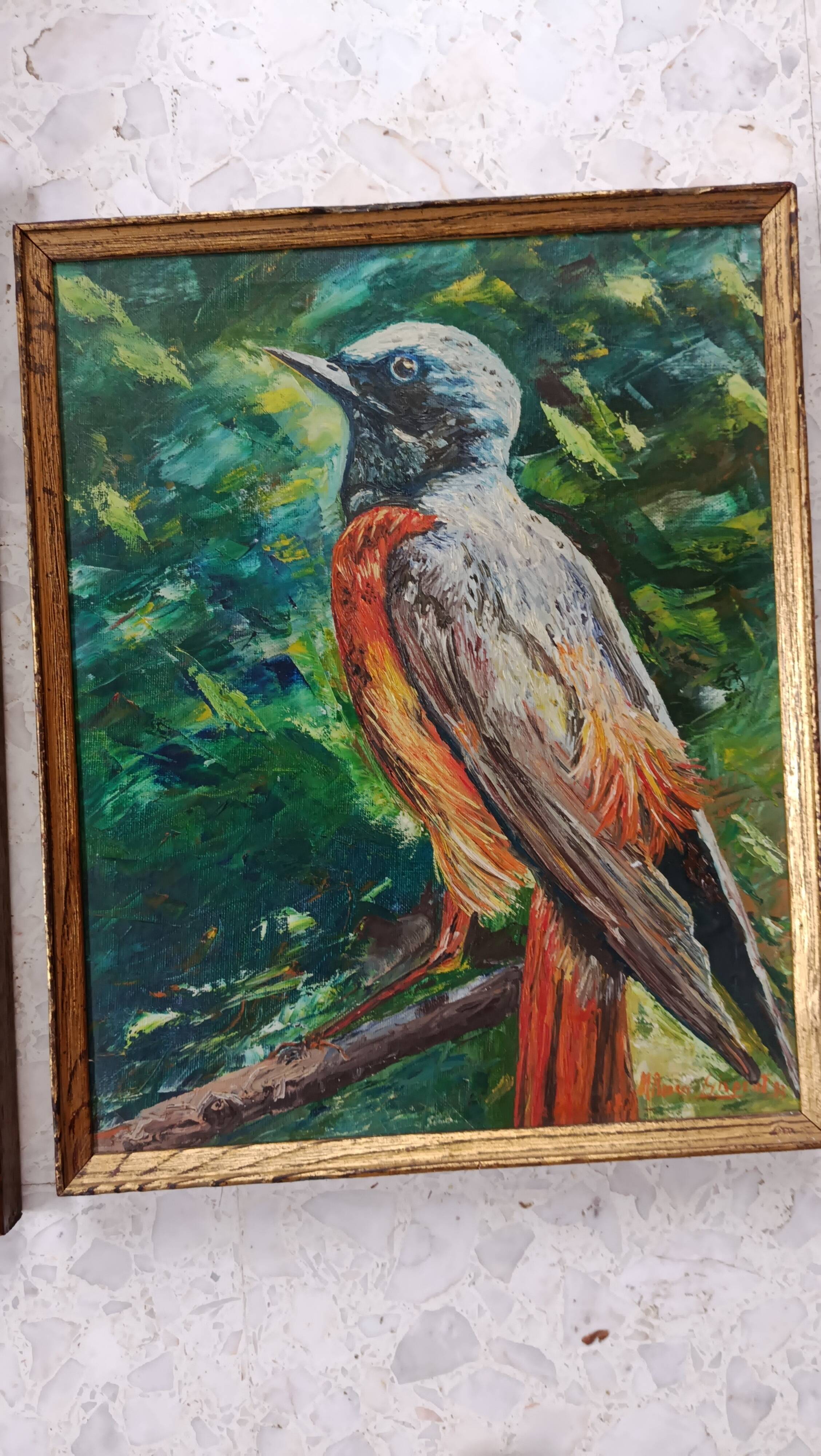 Oil on canvas red-tail bird, m. rosem gispert, spain colirrojo real