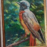 Oil on canvas red-tail bird, m. rosem gispert, spain colirrojo real