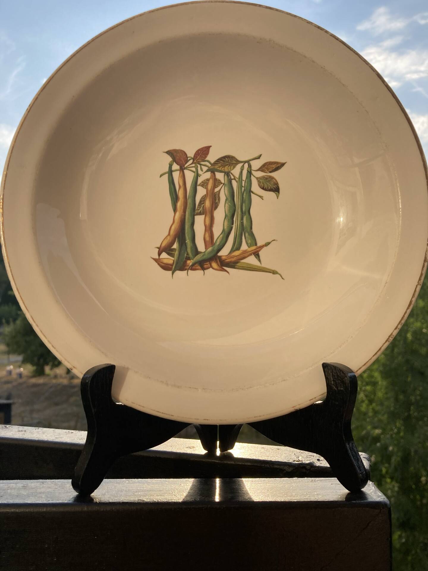 Fireproof porcelain serving dish Gien France botanical pattern