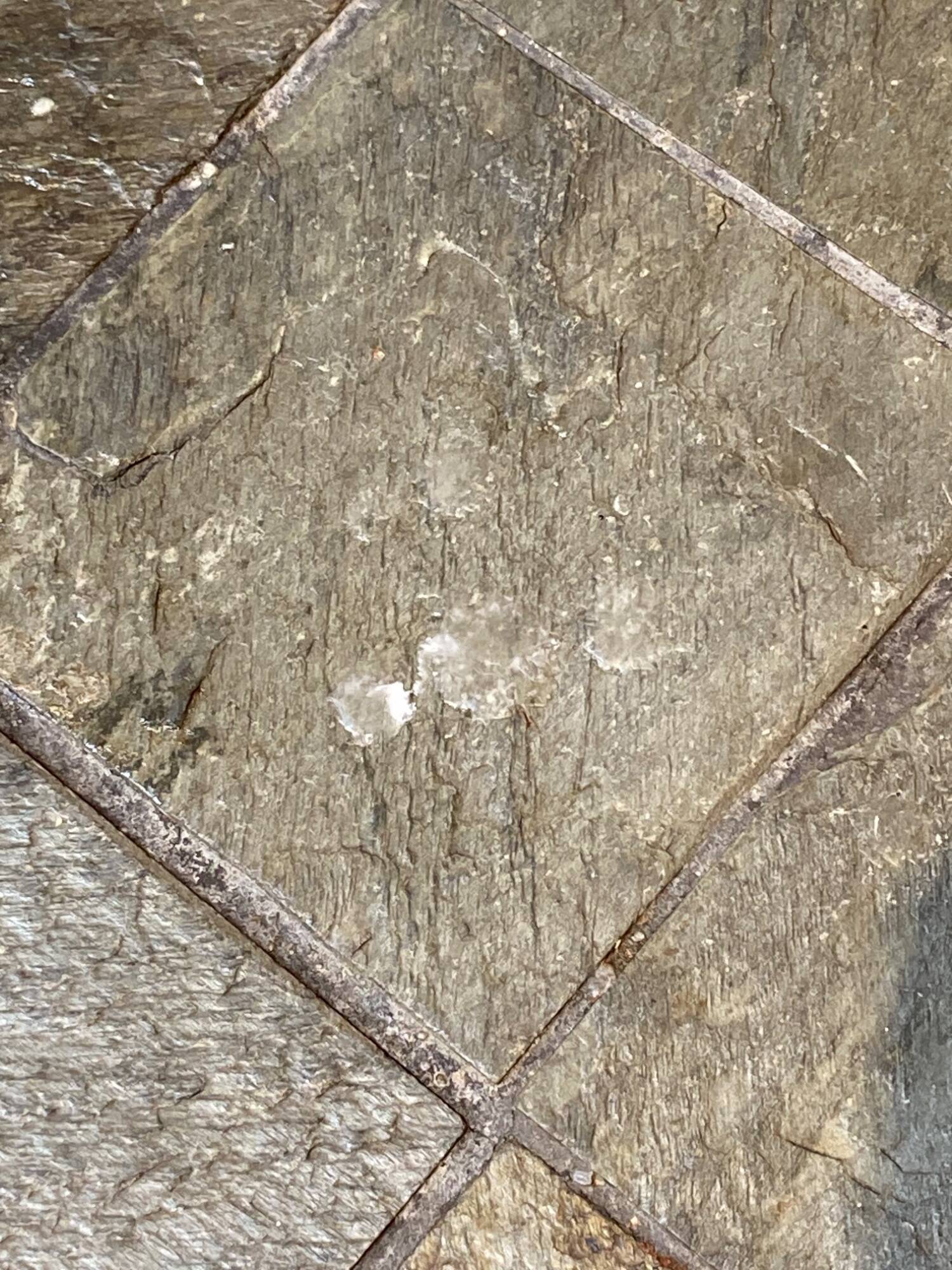 Wood and stone coffee table