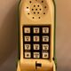 Frog phone - David Craft - 80's