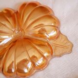Empty pocket iridescent orange flower