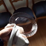 6 rosaline flat plates