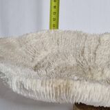 Old white coral on brass base "Pacific Shell", 28 cm