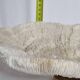 Old white coral on brass base "Pacific Shell", 28 cm