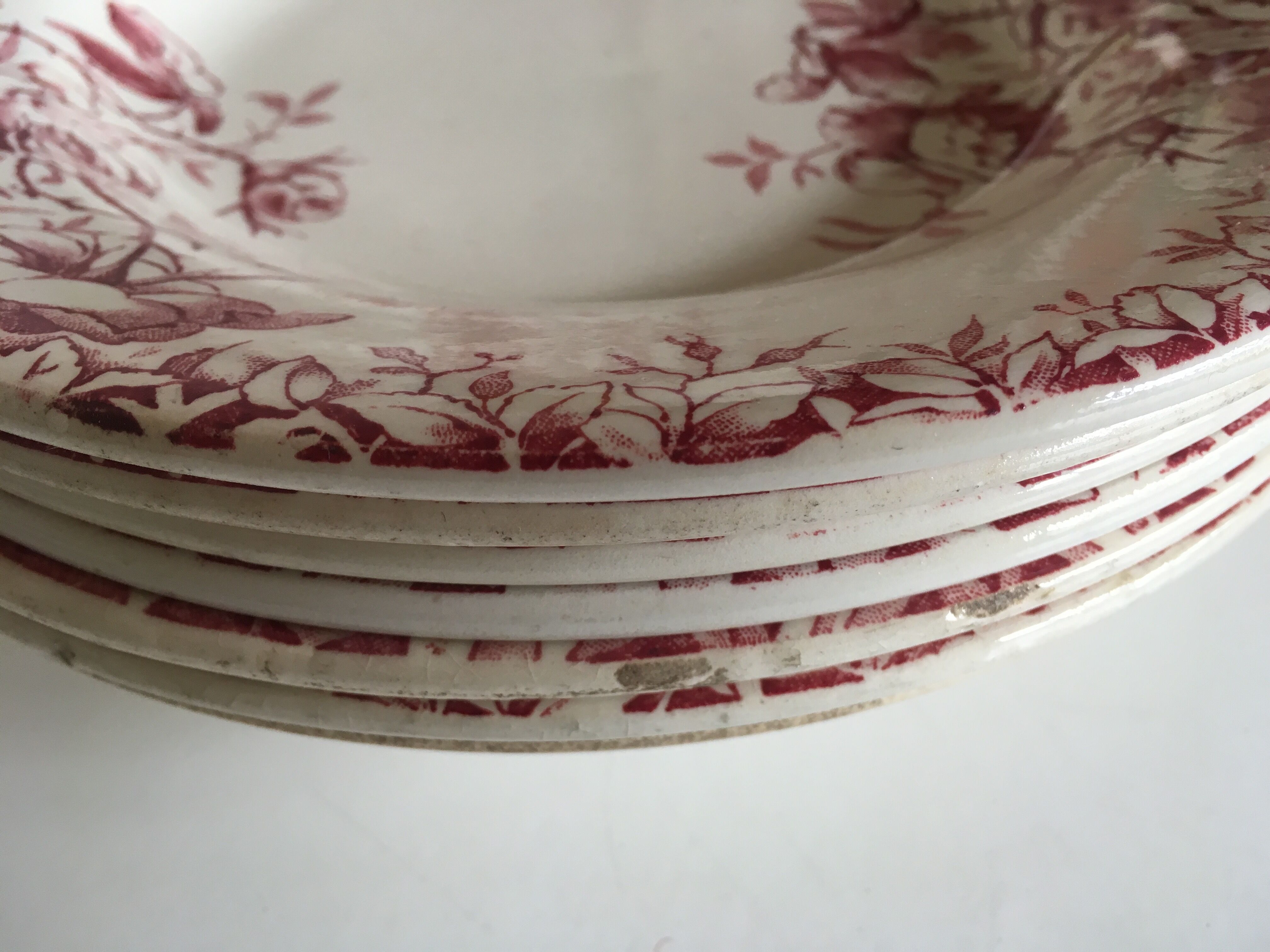 Series of 11 plates flat 19th in faience of Gien