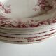 Series of 11 plates flat 19th in faience of Gien