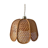 Electrified rattan suspension to nine