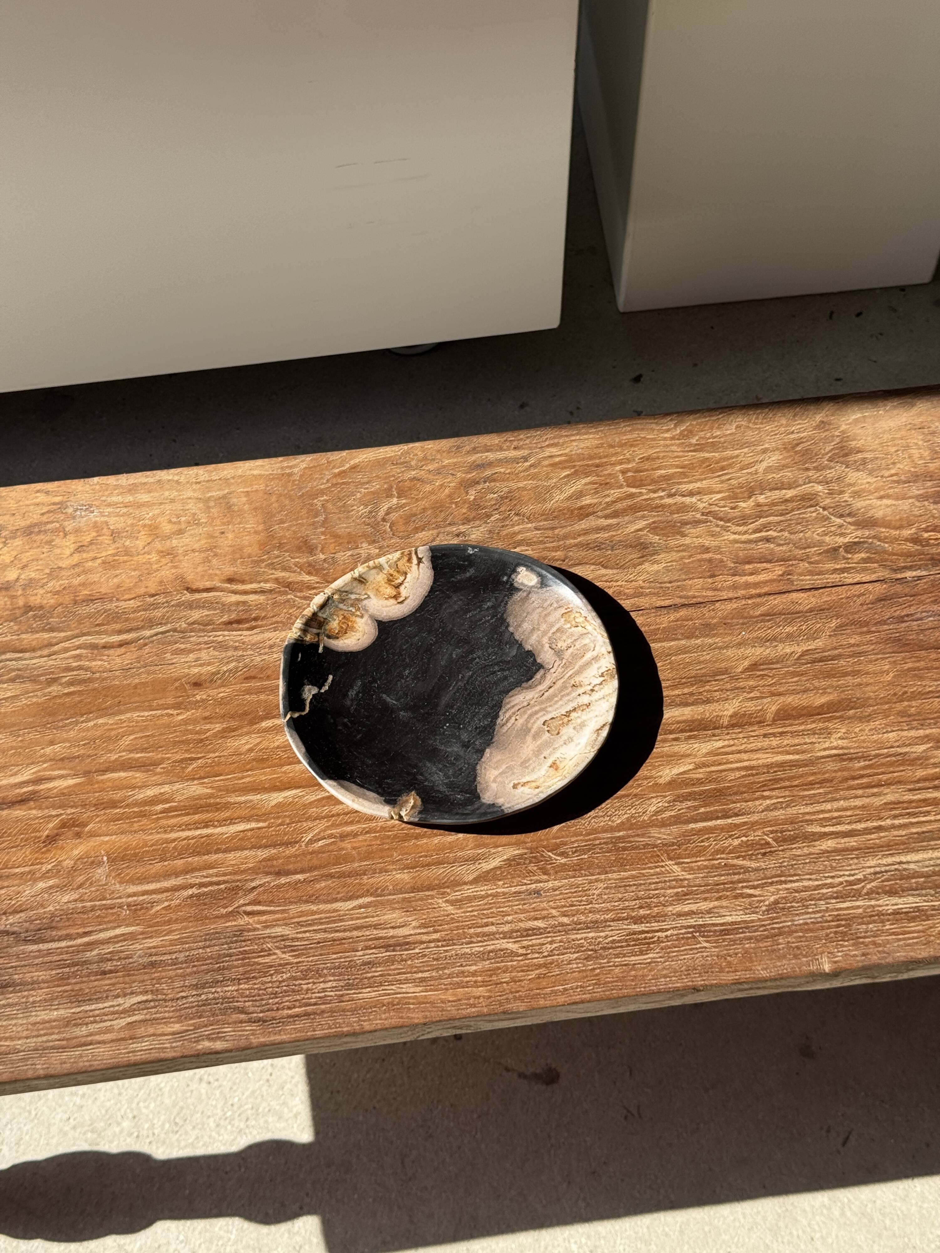 Small pocket tray or dish in black and beige petrified wood D20.5 -3317