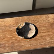 Small pocket tray or dish in black and beige petrified wood D20.5 -3317