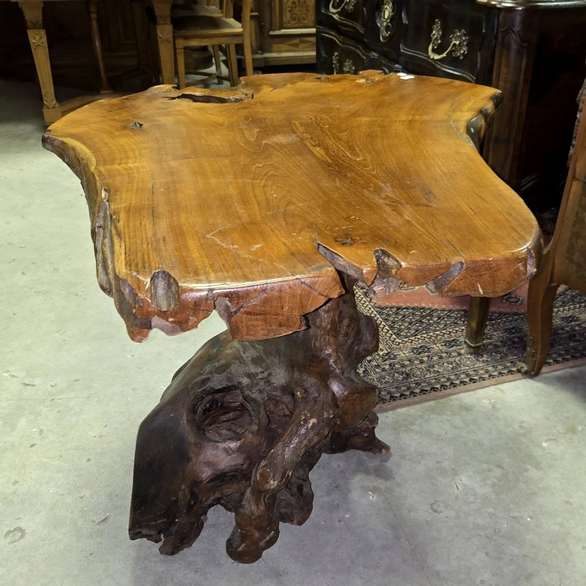 Sculpted olive wood table, made from a root.
