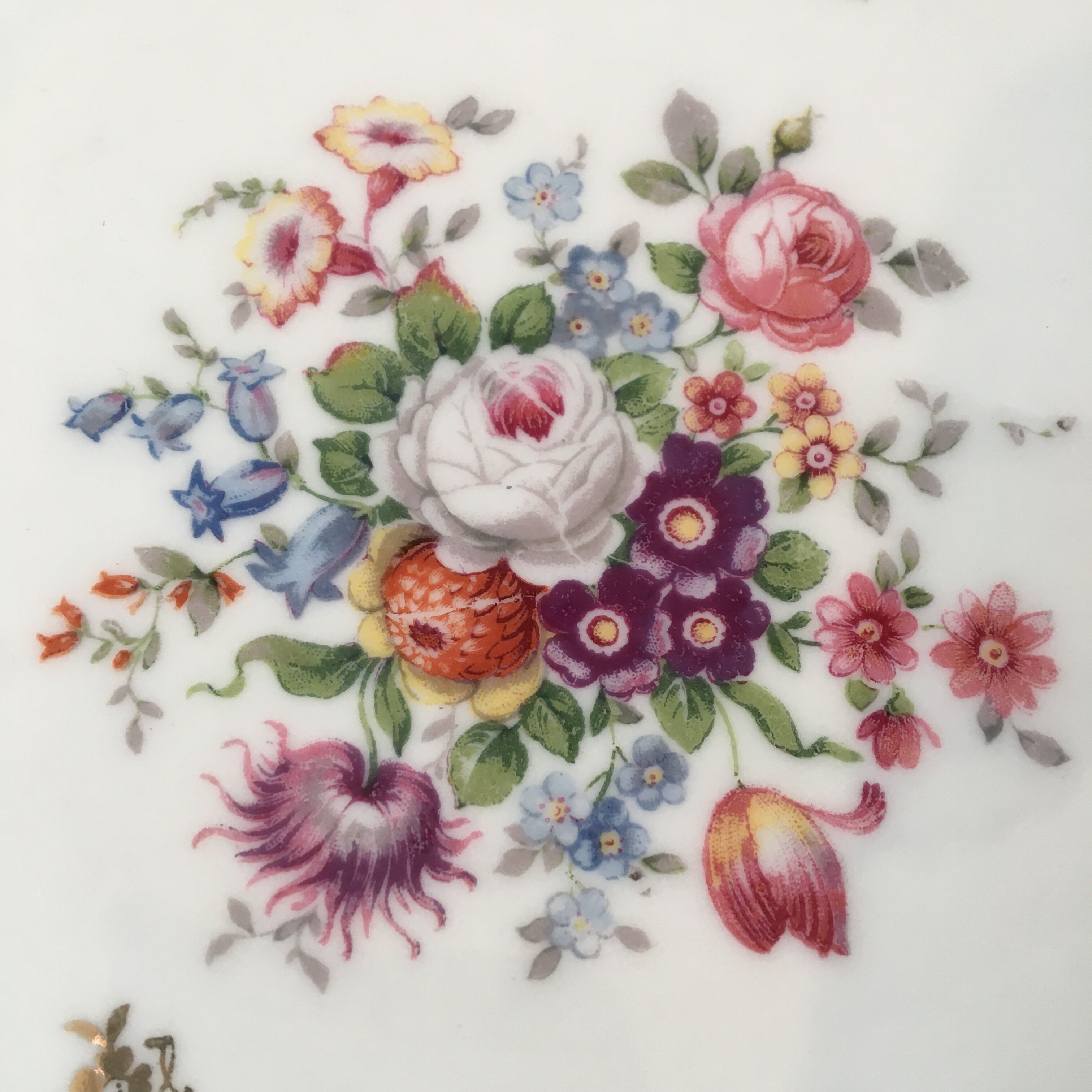 Set 12 plates dessert porcelain flowers and gilding