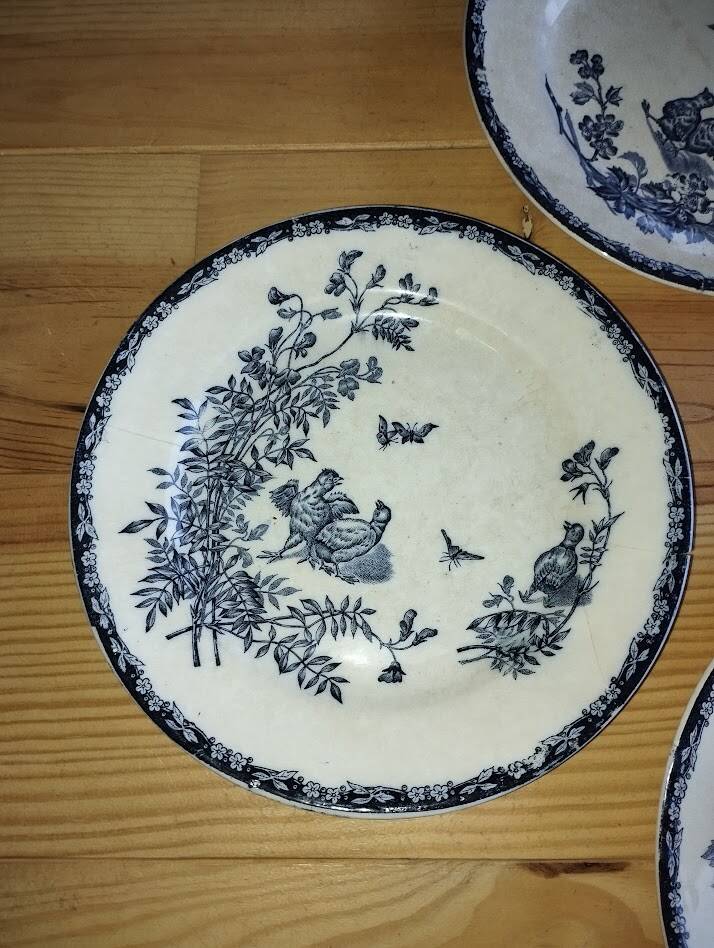 Flat Plates “Terre de Fer – The Chicks” (5 pieces)