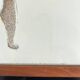 lithograph Tumulte Noir Joséphine Baker by Paul Colin