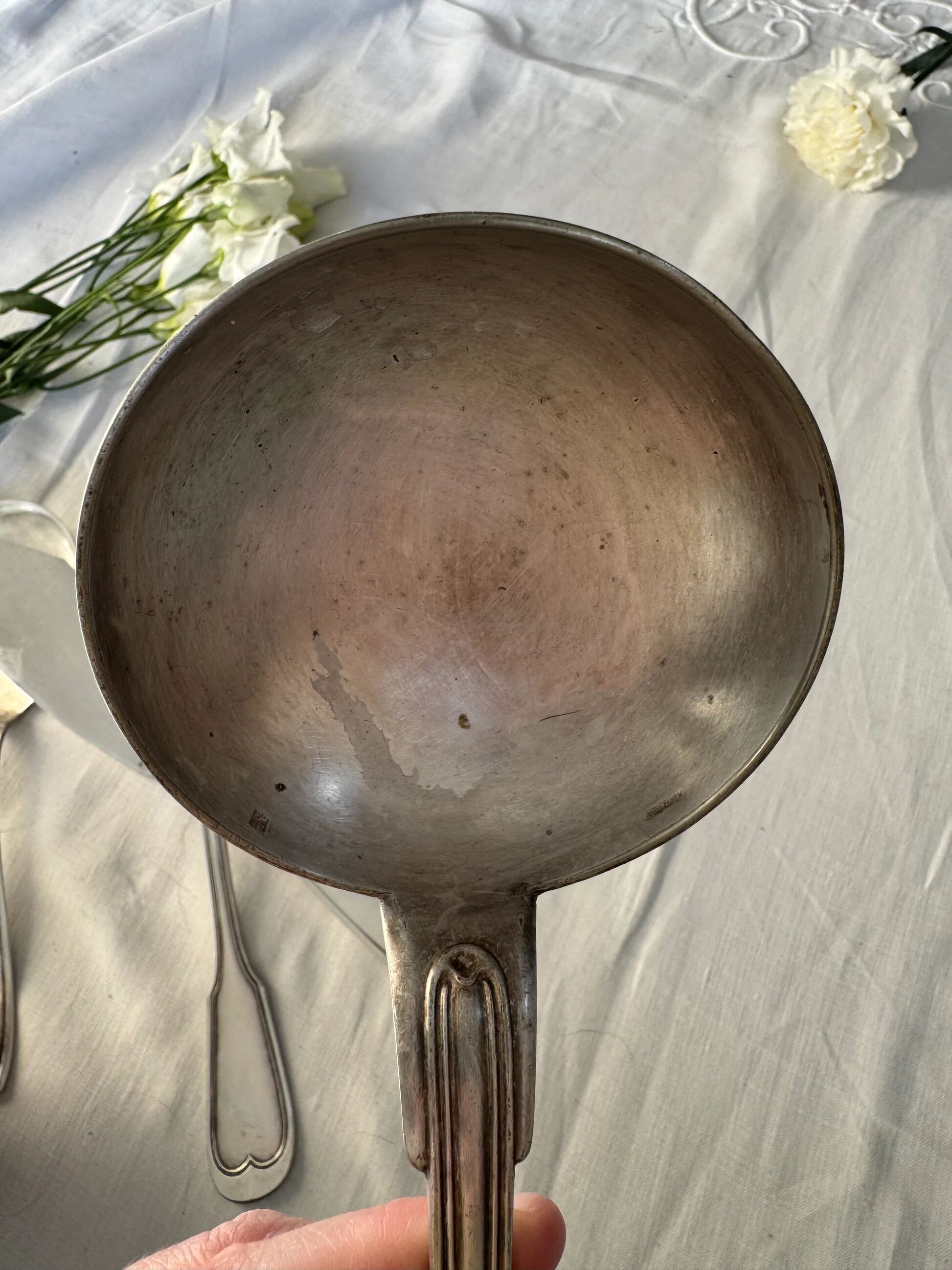 Silver-plated metal cutlery set