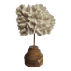 Antique white coral mounted on a turned wooden base – Height 22 cm
