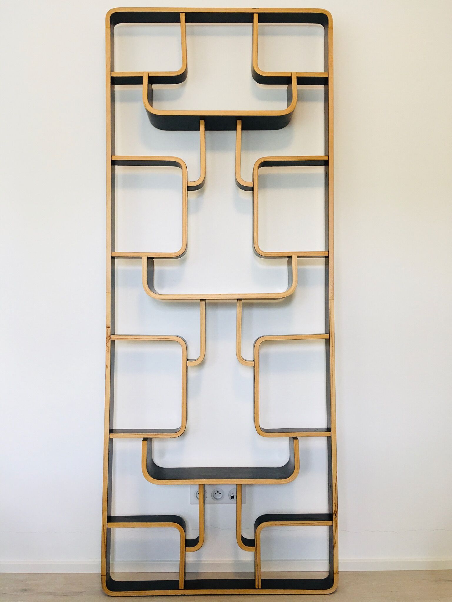 Mid-Century Room Divider by Ludvik Volak for Drevopodnik Holesov, 1960s