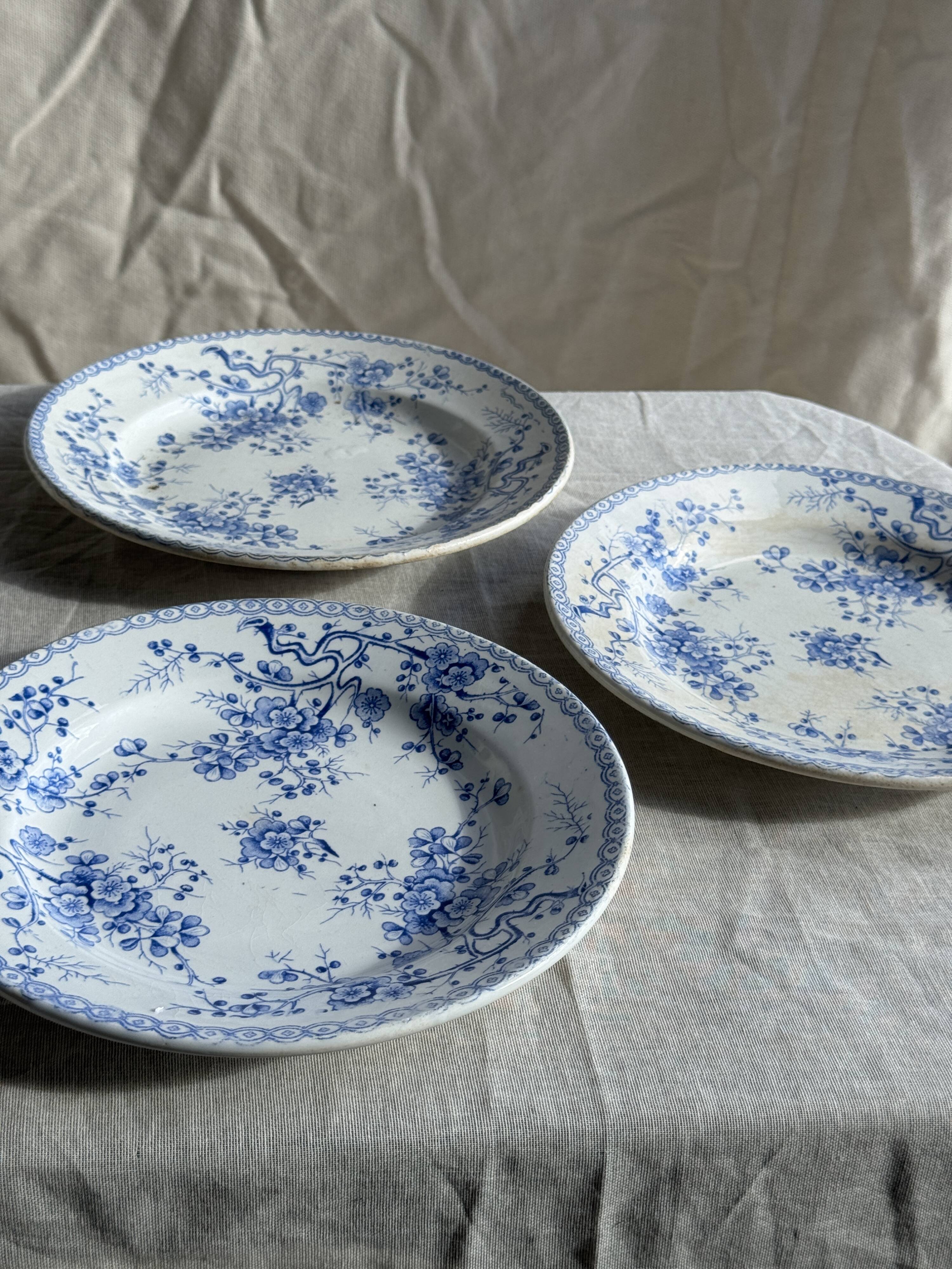 Set of 3 blue plates from Gien pottery, Fleurette model, D22.5.