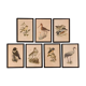 Seven ornithological illustrations by John Murr