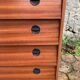 Vintage shoe cabinet