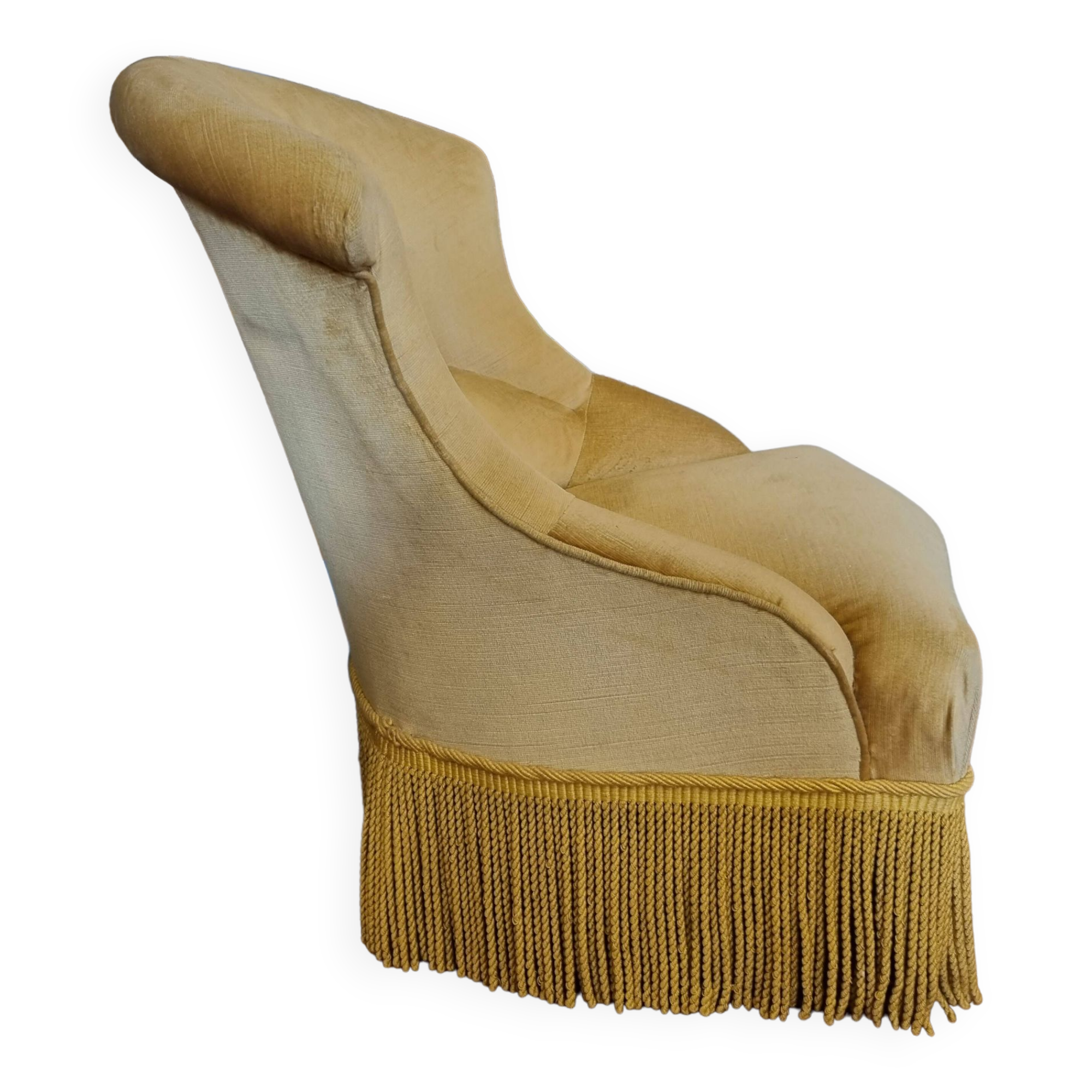 Golden yellow velvet toad armchair