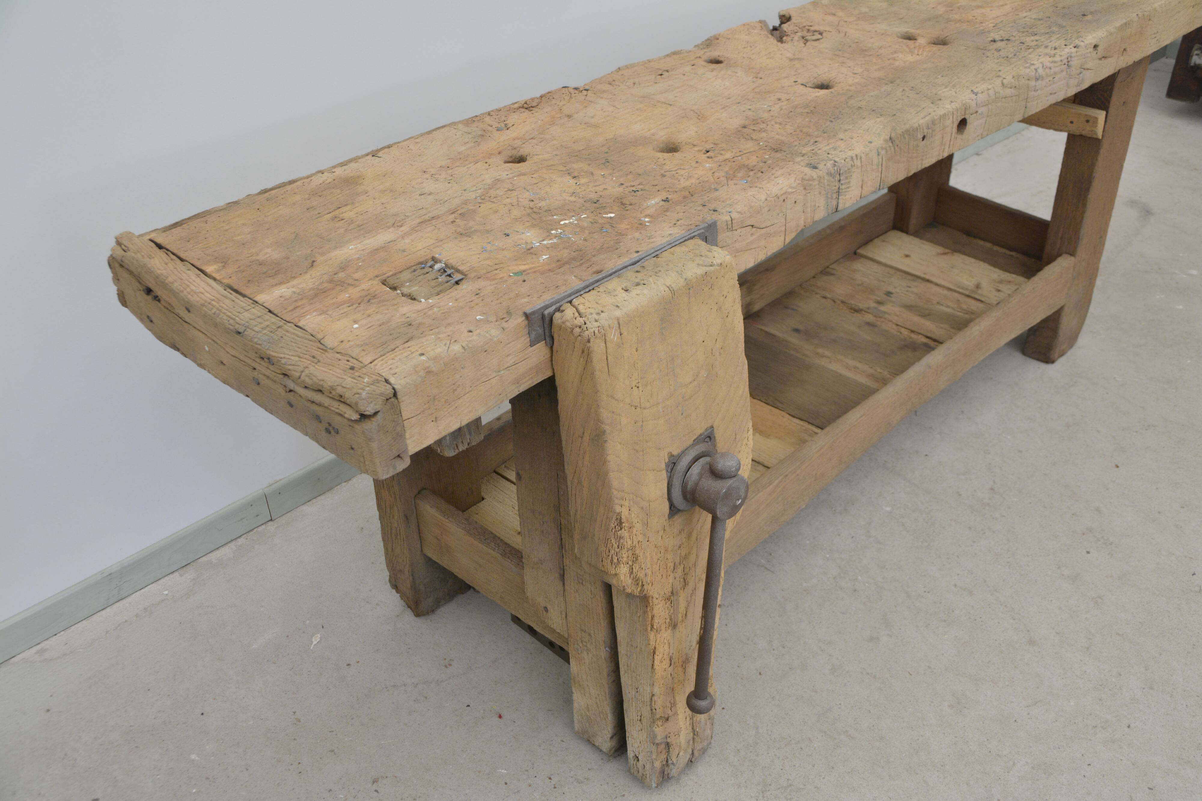 Oak establishment from the 30s