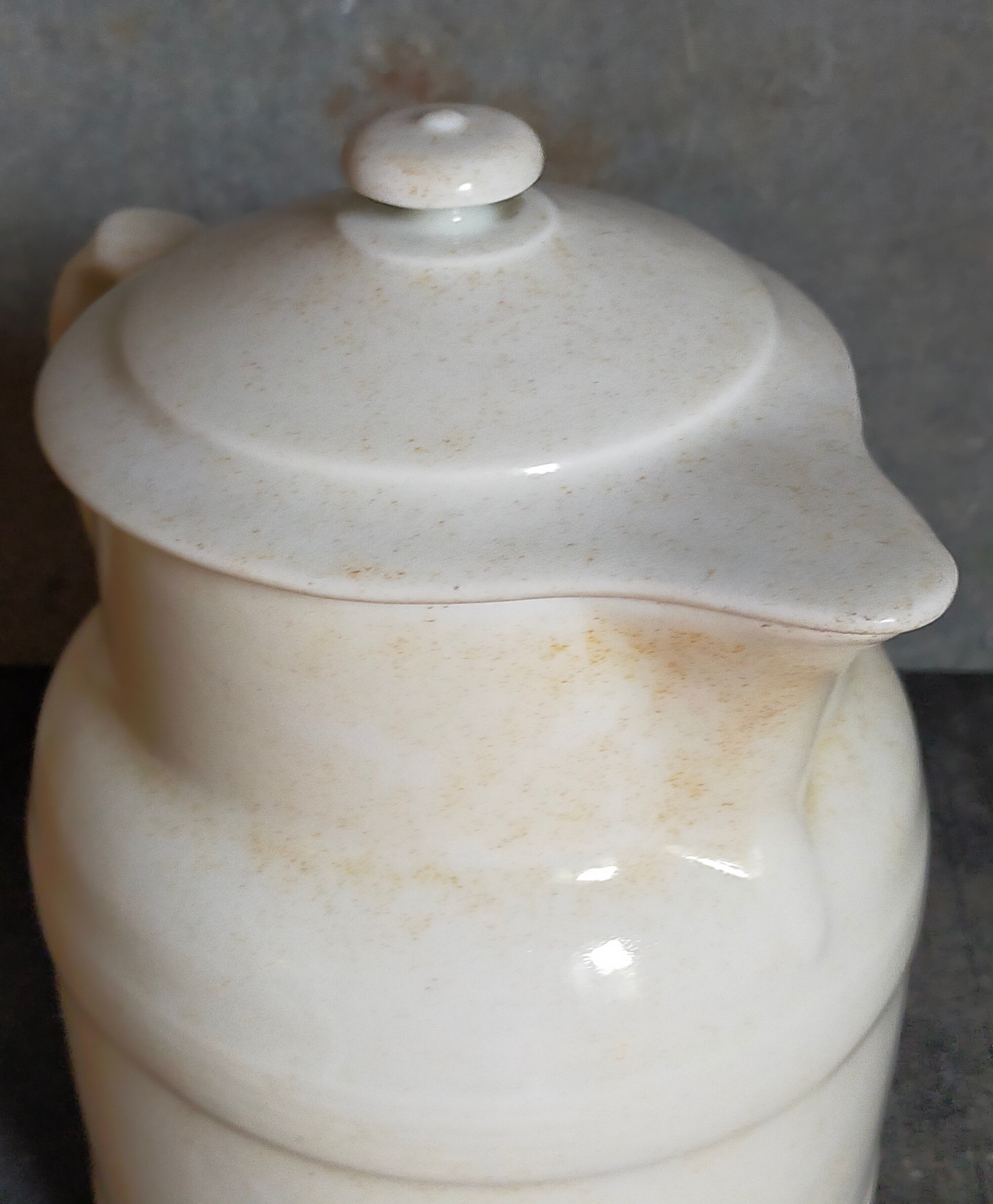 Covered pitcher in porcelain fire of Grigny XIXth stamped P.Precious