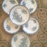 6 plates iron earth St Amand Margot.