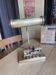 Notary lamp in brass