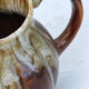 Pitcher
