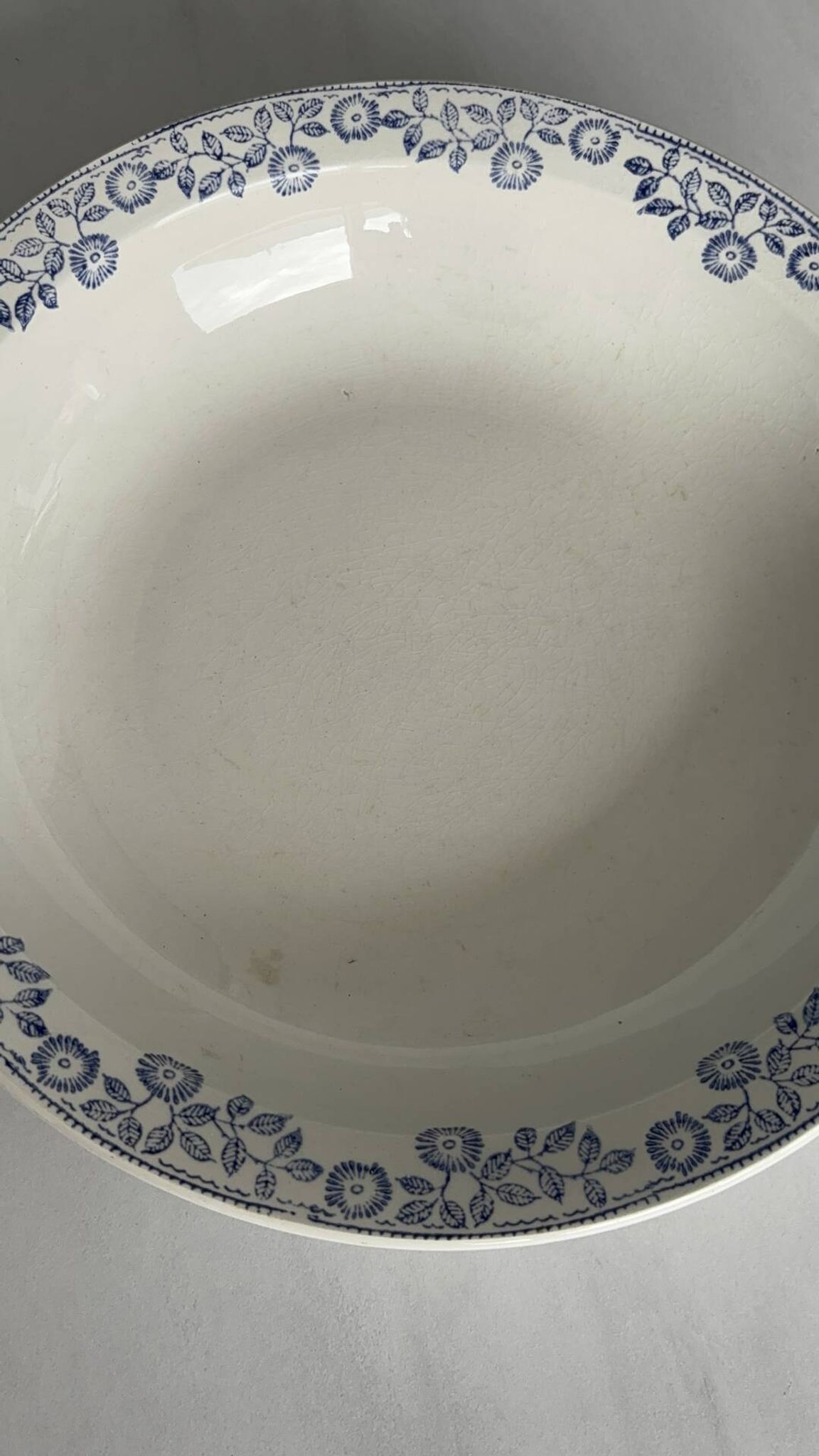 Large round salad bowl, antique blue St-Amandinoise ironstone plate.
