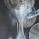 Set of 6 Champagne Coupes with Hollow Base