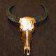 Golden buffalo skull