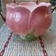 Massier plant pot