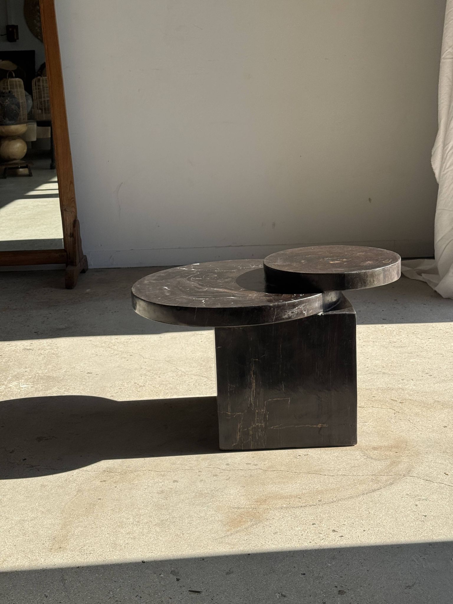 Brown petrified wood coffee table from Indonesia with a double circular top.