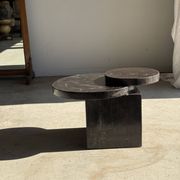 Brown petrified wood coffee table from Indonesia with a double circular top.