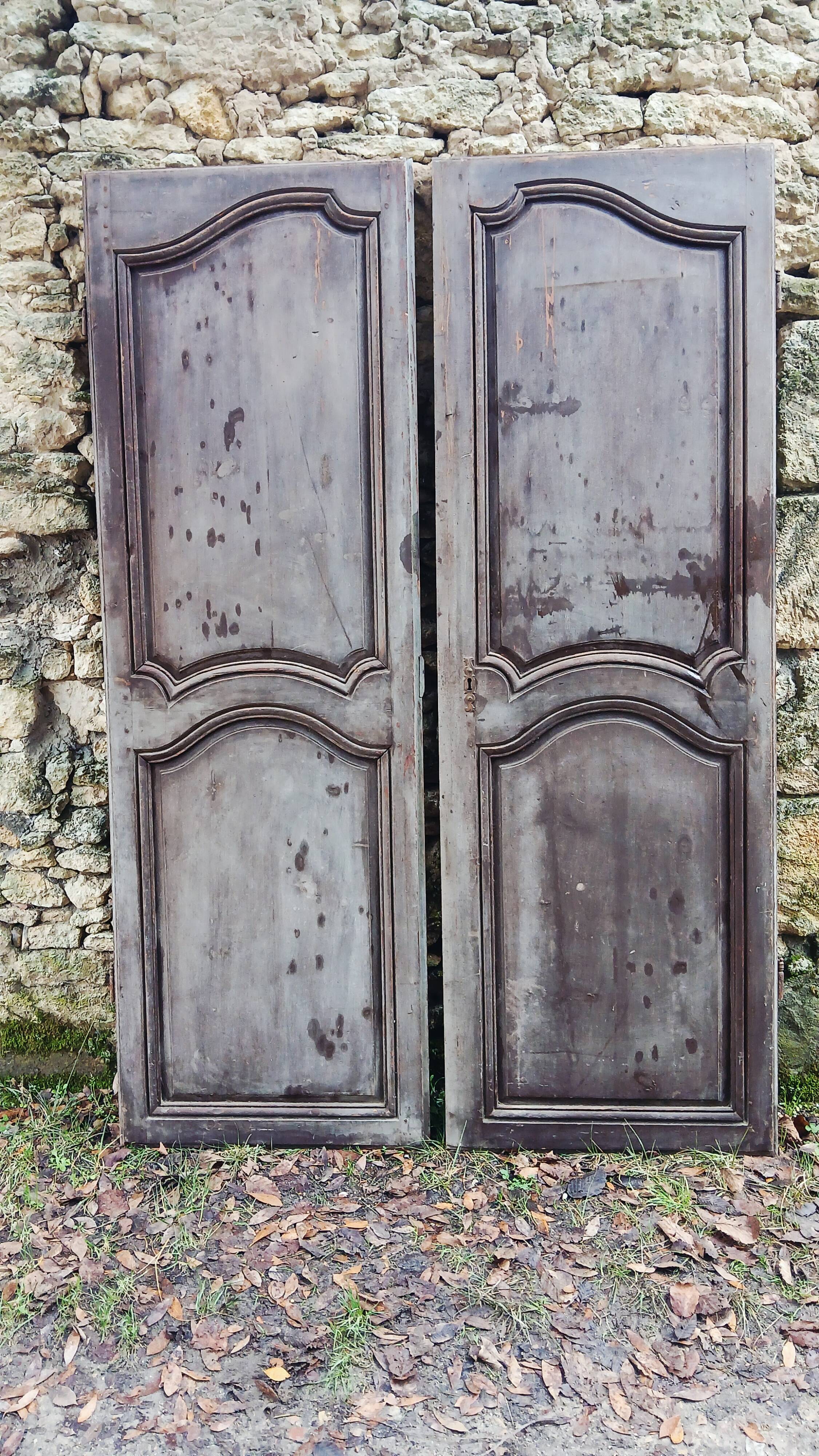 Pair of antique doors