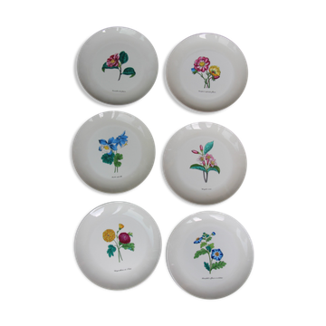 6 NBD Limoges dessert plates illuminated by hand
