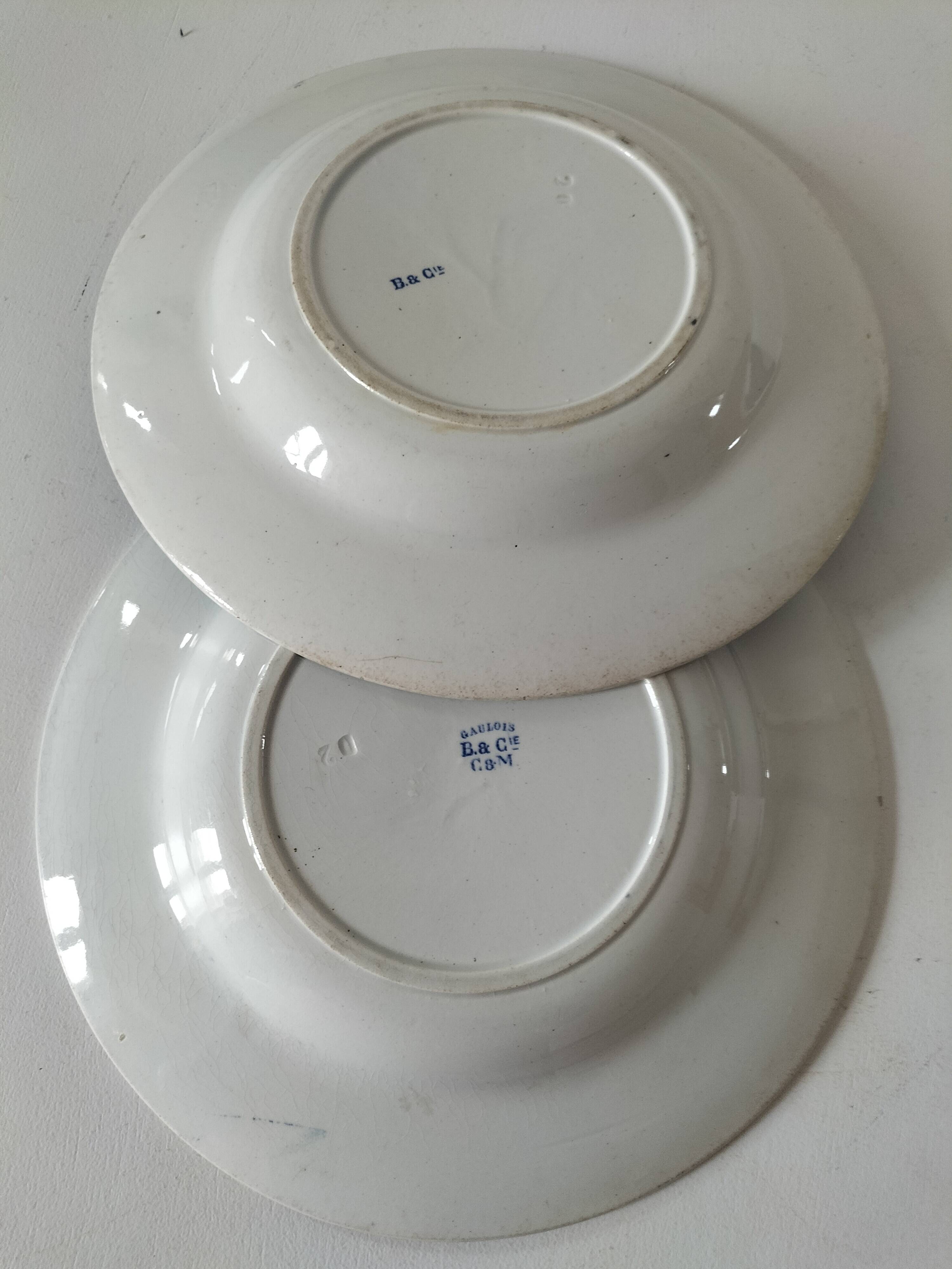 Pair of old Boulenger Choisy-le-Roi soup plates – Gallic decor
