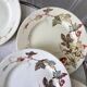 set of 8 dessert plates Terre de Fer Lunéville model Lier XIXth