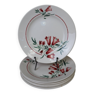 6 old Pec model flat plates from the Société amandinoise Saint-Amand