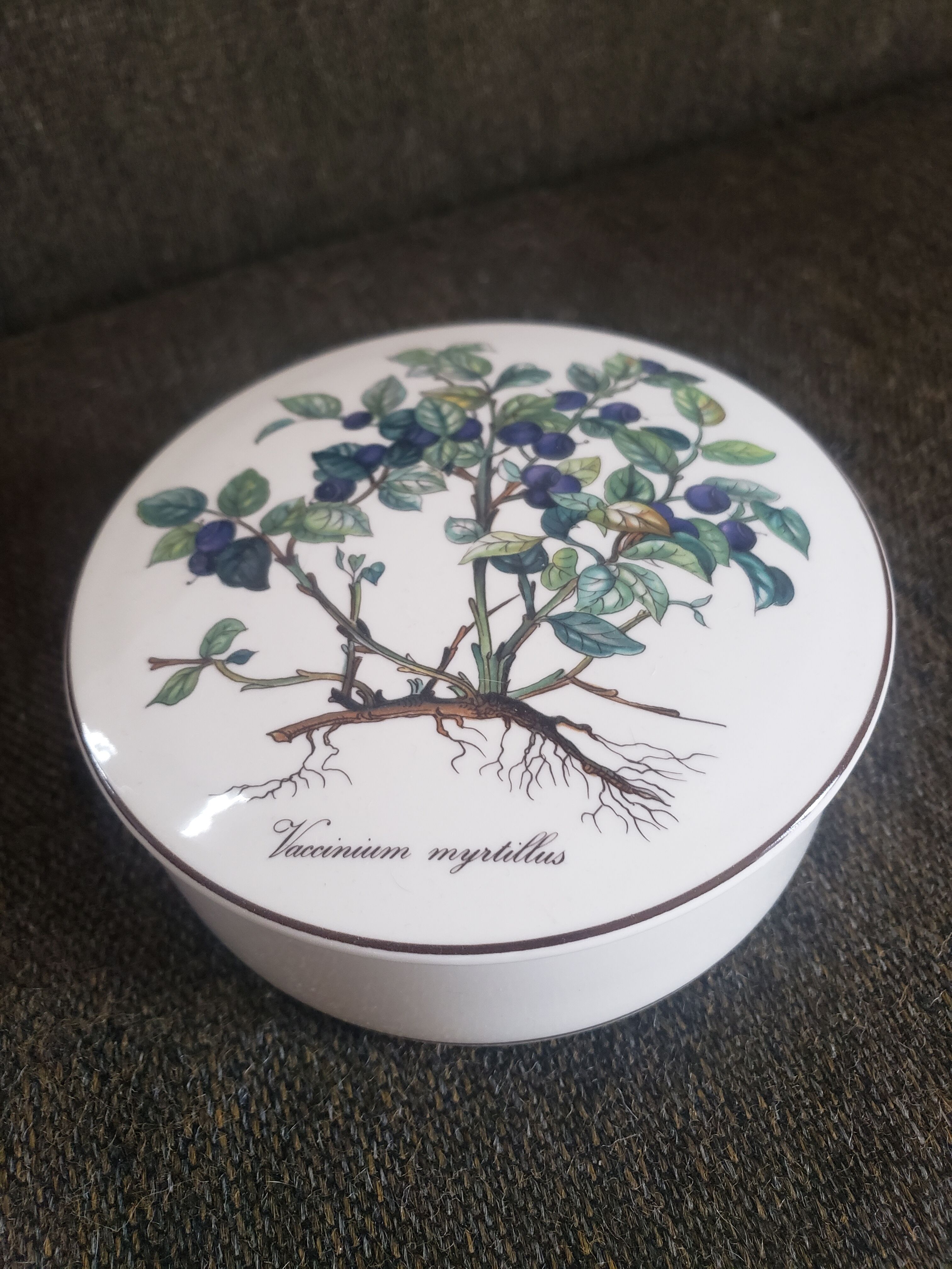 Porcelain box blueberries Villeroy and Boch