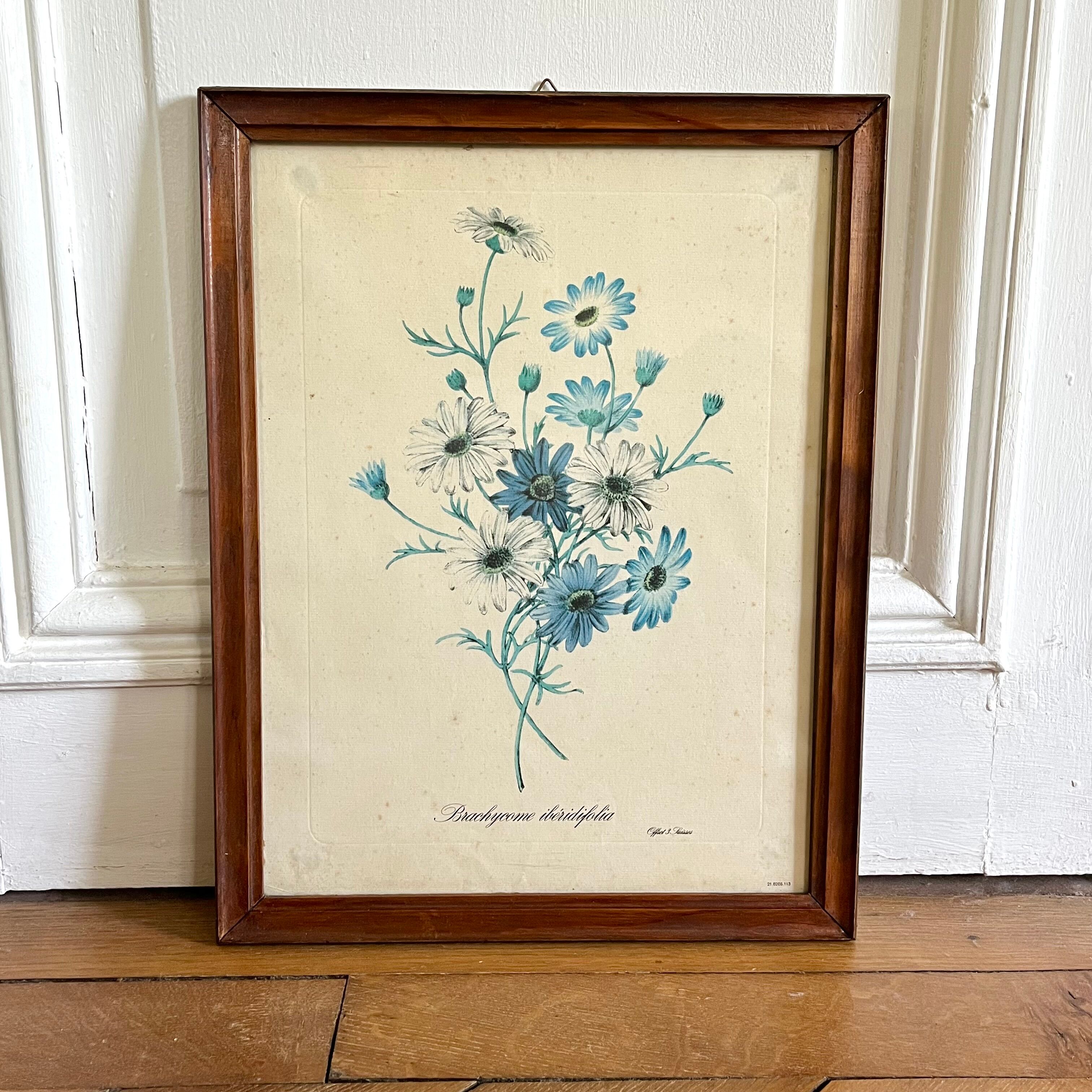 Vintage botanical board frame with blue flowers