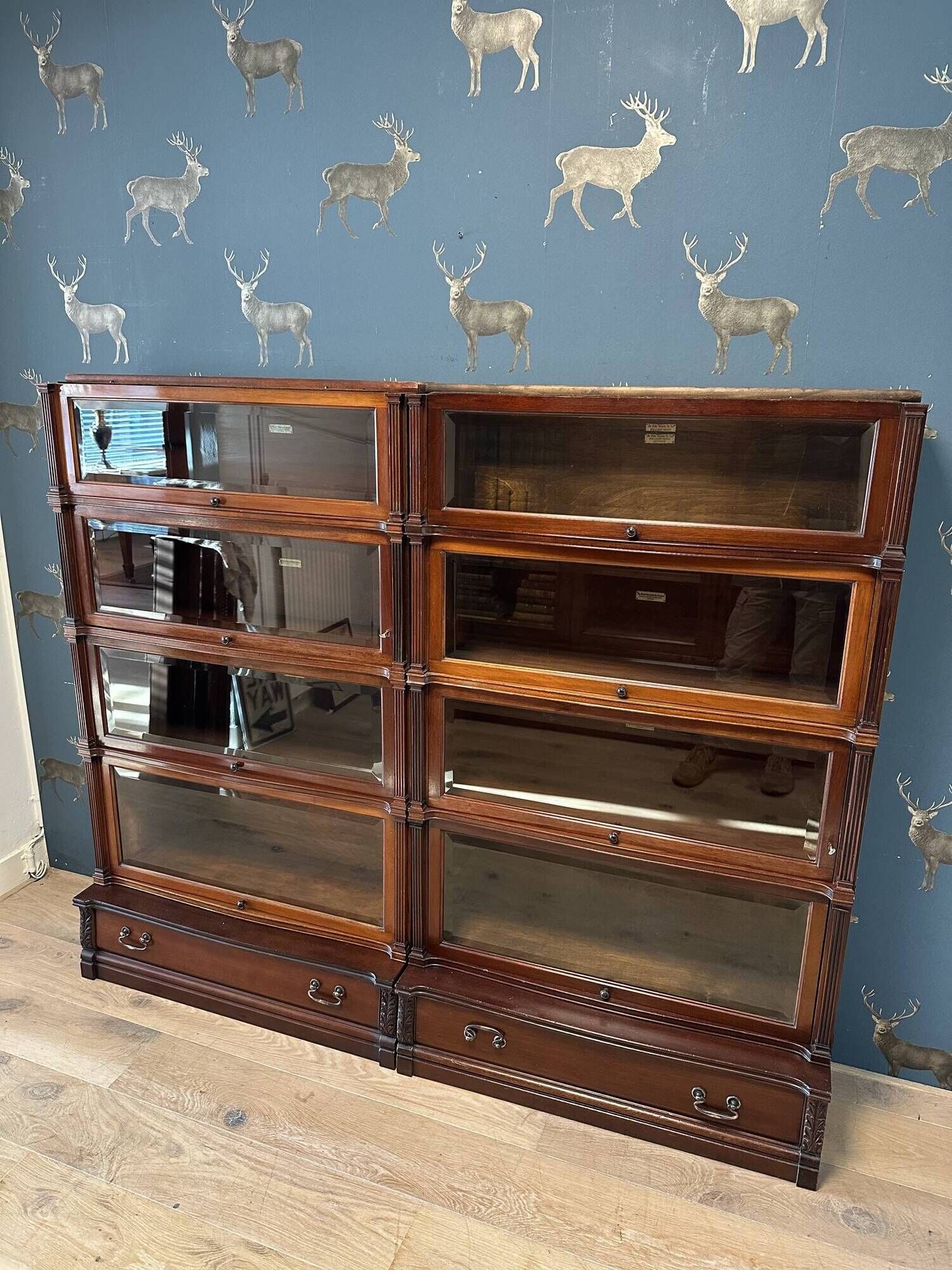 Special Globe Wernicke Bookcase