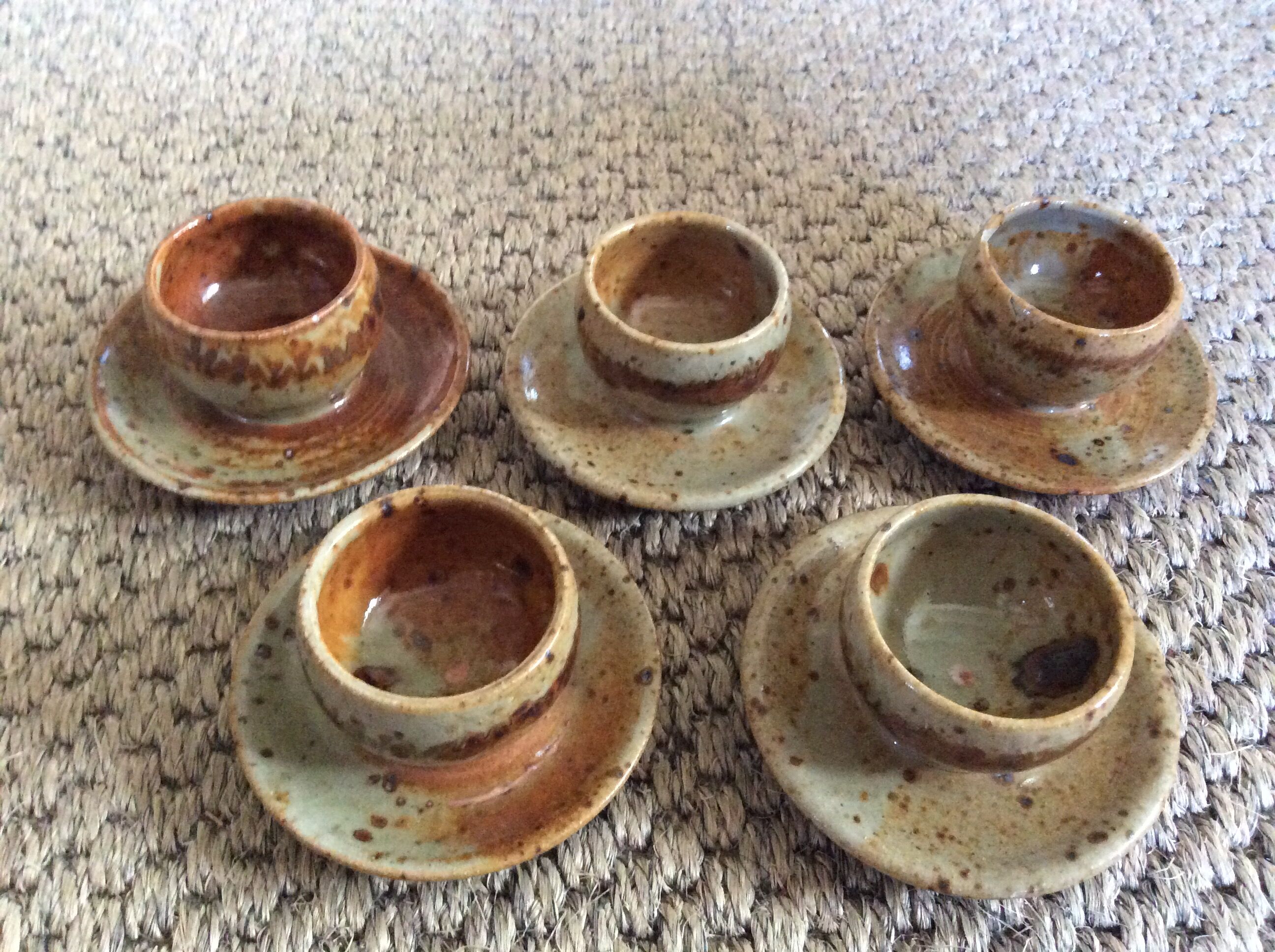 Series of 5 cockroaches