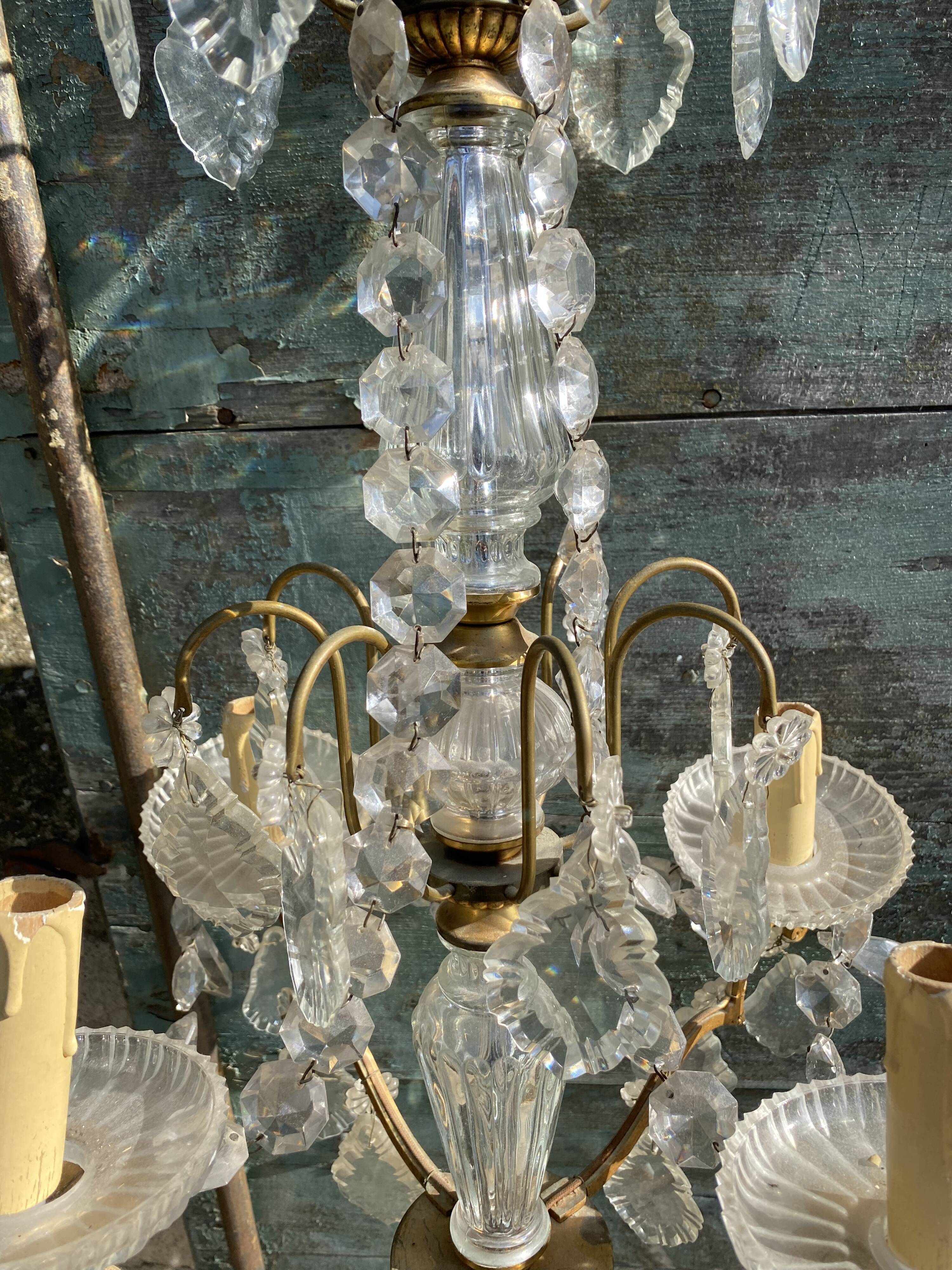Chandelier with bronze and crystal grapevines