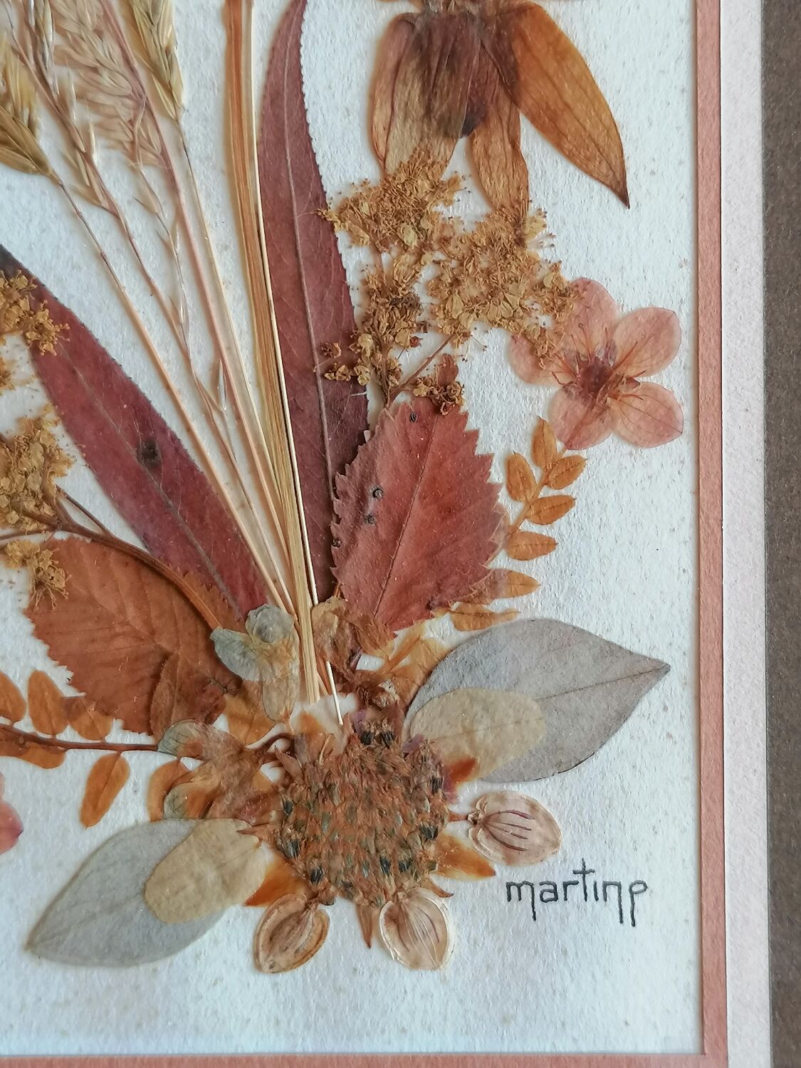 Authentic herbarium signed