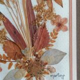 Authentic herbarium signed